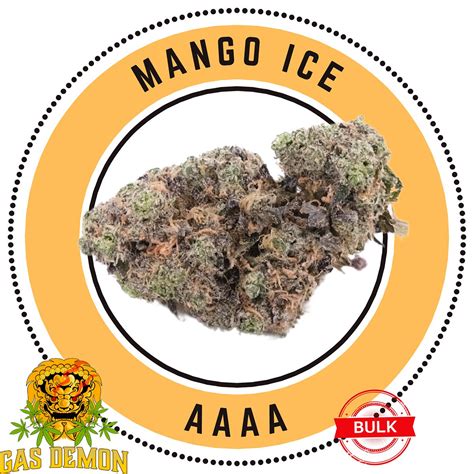 Mango Ice Indica Dominant Hybrid Gas Demon Trusted Mail Order