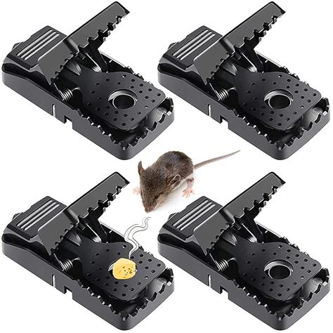 Buy The White Shop Mouse Traps Mice Traps For House Small Mice Trap