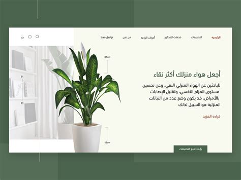 Plants Website By Nada Mohamed On Dribbble