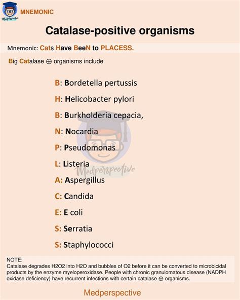 Catalase Positive Organism Medizzy