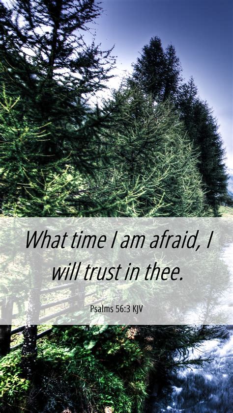 Psalms 56 3 Kjv Mobile Phone Wallpaper What Time I Am Afraid I Will Trust In