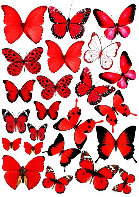 красные бабочки | Butterfly printable, Butterfly cake topper ...