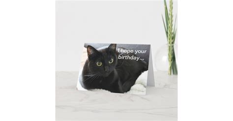 Birthday Black Cat Card Au