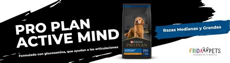 Proplan Active Mind Opiniones Y An Lisis Razas Medianas Y Grandes