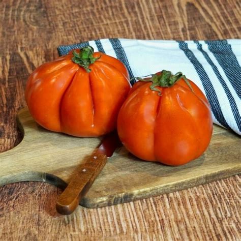 Tomate cœur de bœuf France Les 5 Fermes