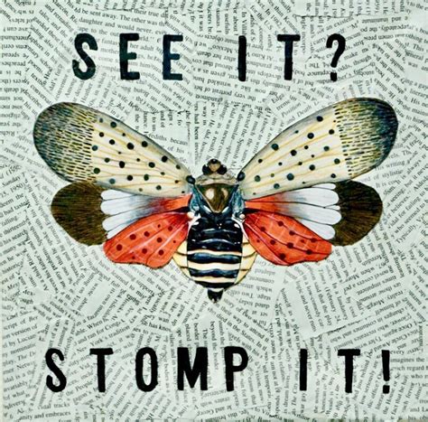 Spotted Lanternfly Art Print The Spotted Lanternfly Shop