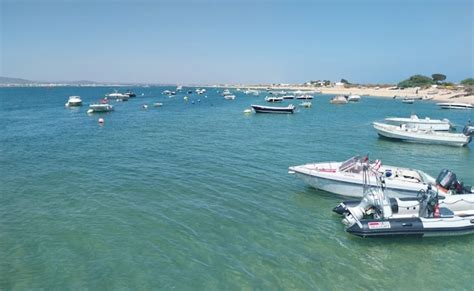 Ciência Viva no Verão mostra segredos da Ria Formosa e impacto da