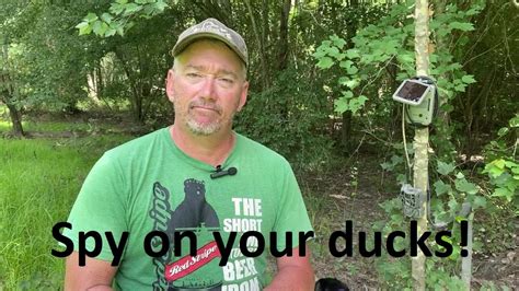 Duck Scouting Tips Use A Stealth Cam Trail Camera To Scout For Ducks