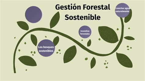 Gestion Forestal Sostenible By Laura Prieto