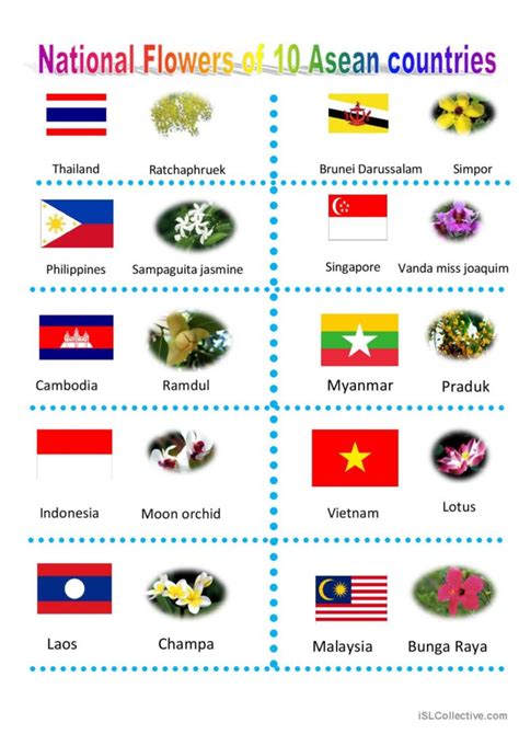 National Flowers Of Asean English Esl Worksheets Pdf Doc