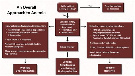 Anemia: Lesson 5 - An Approach to Diagnosis - YouTube