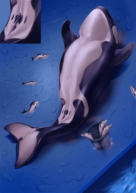 Rule 34 Genital Slit Killer Whale No Humans Orca Pussy Slit Slit Sex