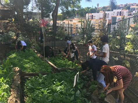 Hortas Bio Nas Eco Escolas Escolas Premiadas Eco Escolas