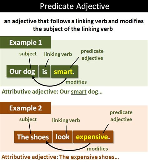 What Are Predicate Adjectives