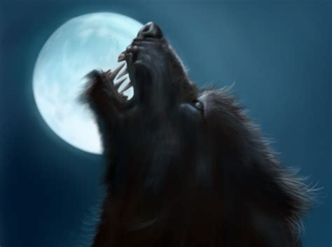 Ancient Werewolf Wallpaper Wallpapersafari