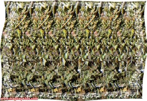 Magic Eye D Picture Here Is Some Cool D Stereogram Pictures Magic