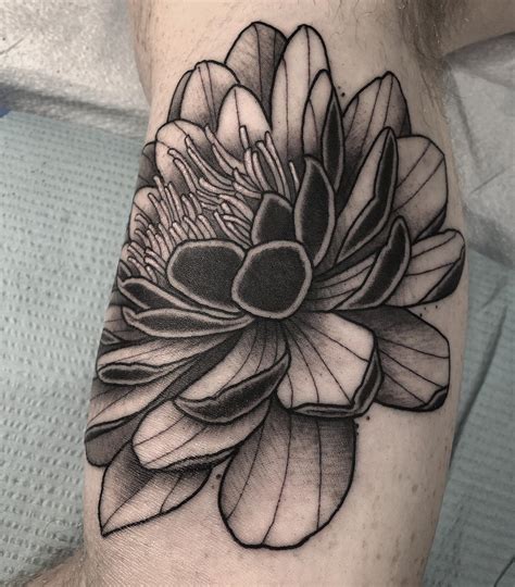 Water Lily Tattoo Ideas: Designs and the Meaning