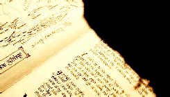 Irene Adler Naked Tumblr Blog Tumgik