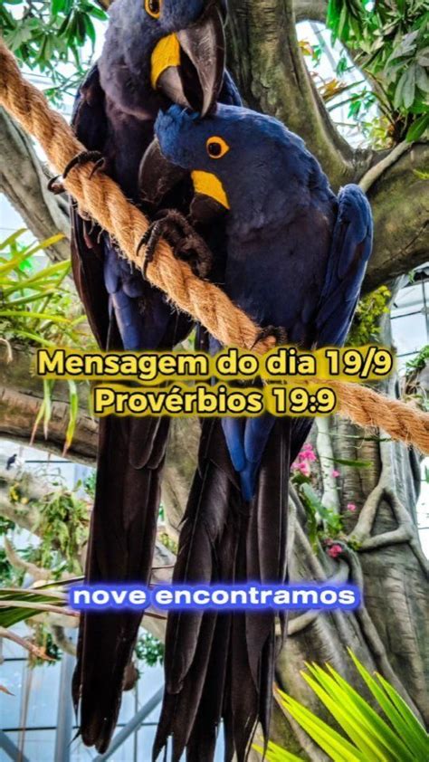 Em Provérbios 19 9 encontramos uma reflexão sobre a importância de