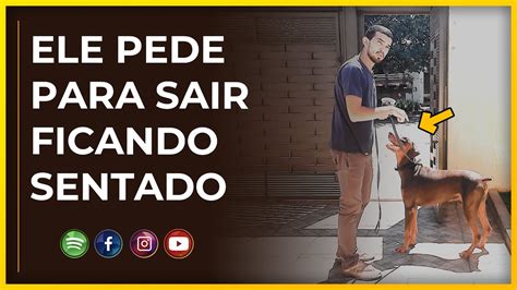 O Cachorro Vai Amar N O Fugir Pelo Port O Youtube