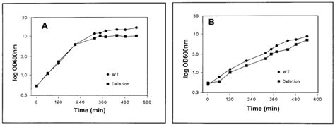 Growth Curves For Wild Type C Glutamicum And The Pora Mutant Shown On