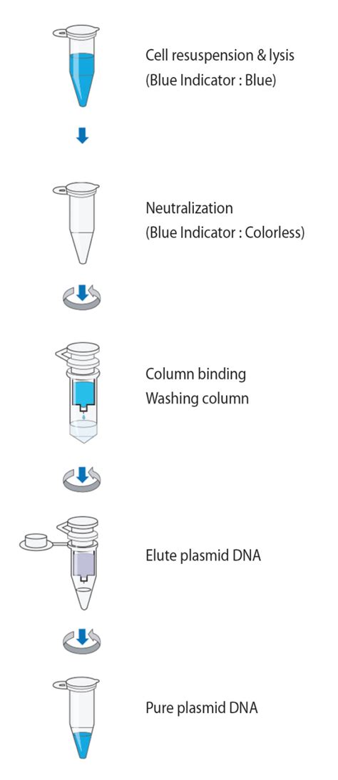 Gene Xpress Plt Mygen™ Plasmid Mini Prep Kit