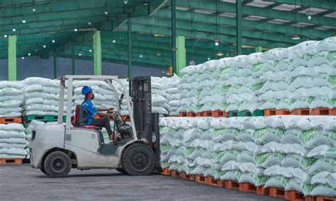 Pusri Amankan Stok Pupuk Bersubsidi Di Awal Tahun Harga Pupuk