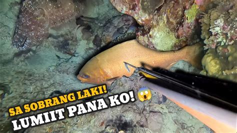 Ep Night Spearfishing Philippines Grabe Sa Sobrang Laki Lumiit