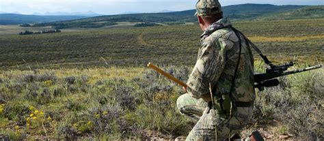 Coyote Hunting Tips: How to Hunt Coyotes | Academy