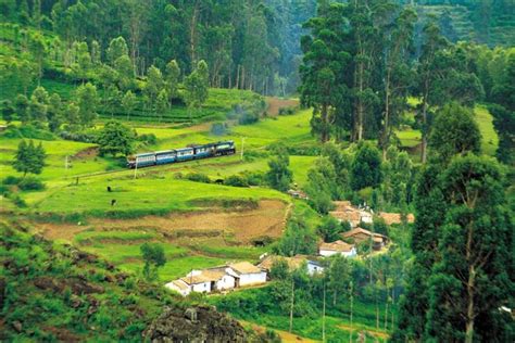 Ooty Tourism Hills Meadows And Lush Greenery Explore The Pearl