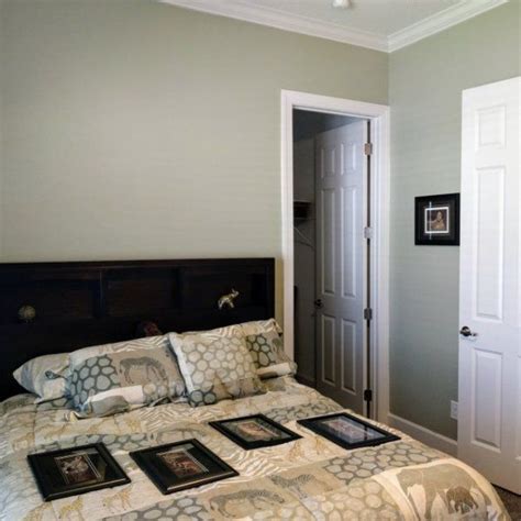 Grassland SW 6163 Green Paint Color Sherwin Williams Home Wall