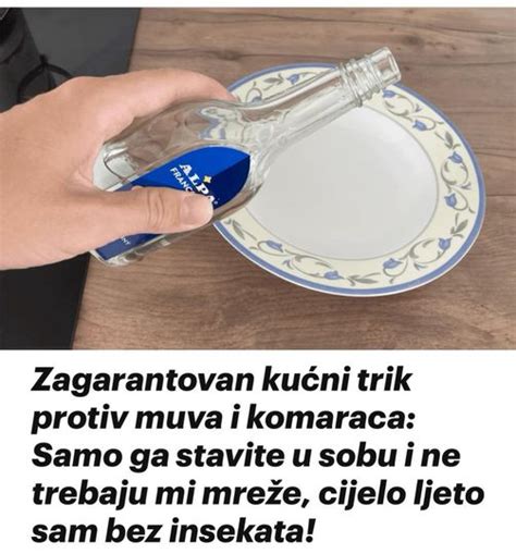 Zagarantovan Ku Ni Trik Protiv Muva I Komaraca Samo Ga Stavite U Sobu