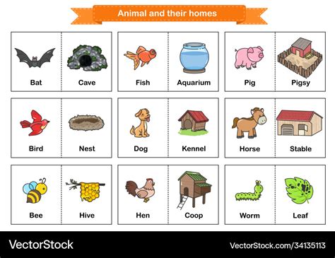 Animals And Their Homes Worksheets English - pic-ora