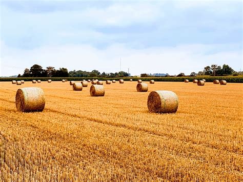 Hay Bales Harvest Free Photo On Pixabay Pixabay