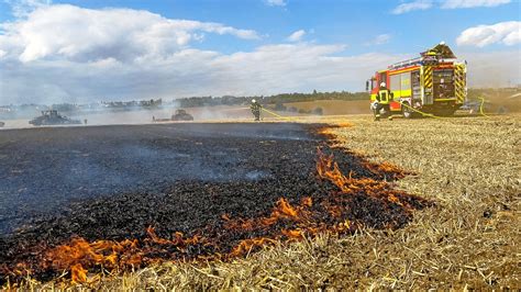 Feldbrand in Weimar greift auf Gärten über Feuerwehr rettet Personen