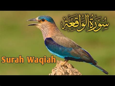 Surah Al Waqiah Full Recited Most Amazing Quran Tilawat Beautiful Voice