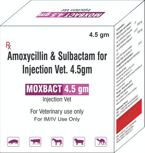 Veterinary Amoxicillin Sulbactam Injection At Rs Amoxicillin