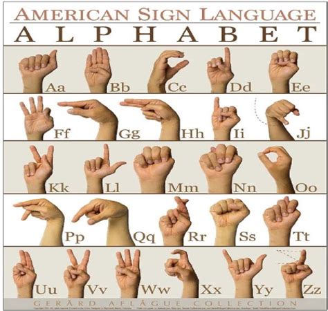 Basic Sign Language Phrases Chart