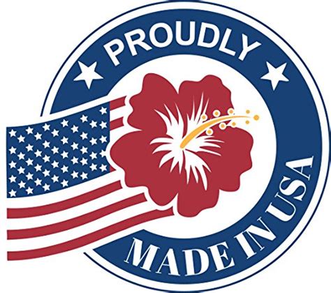 The Mesh King Coqueta Swimwear Sexy Brazilian Teeny Micro Thong Mini Bikini Swimsuit G String