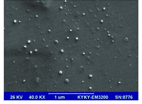 Surface Sem Image Of Prepared Nanocomposite Membranes Filled With Bafe Download Scientific