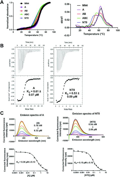 A Thermal Stability Of Aptamer Nanotrains Left Normalized UV