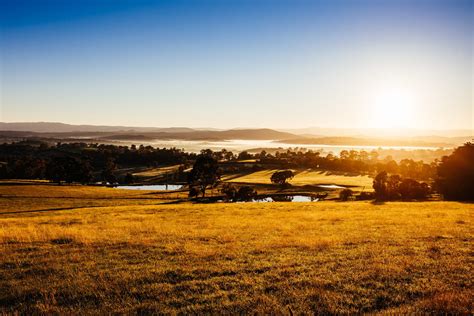 Cursos Vet En Australia