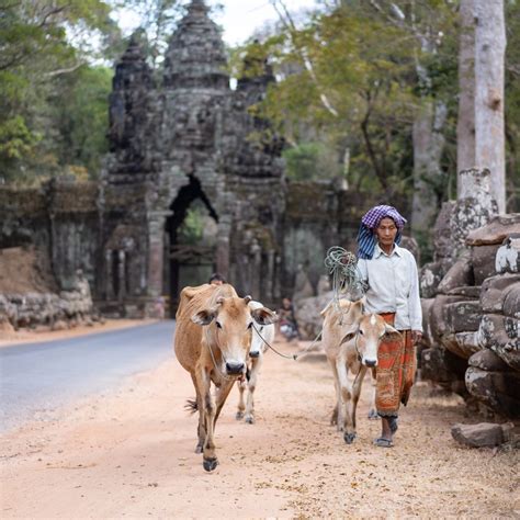 Camboya Noland