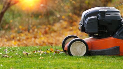 Quand faut il arrêter de tondre sa pelouse en automne Voici pourquoi