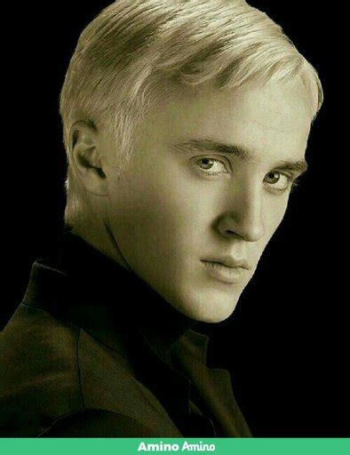 Draco Malfoy Wiki •harry Potter• Español Amino