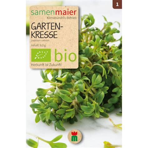 Samen Maier Berros Bio Paquete Bloomling Tienda Online Espa A