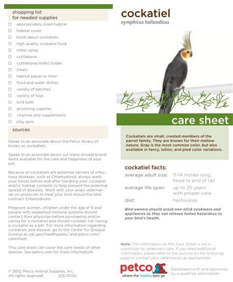 cockatiel care sheet - Petco