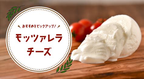 【モッツァレラチーズ】特徴・食べ方・合うお酒・保存方法・簡単レシピ・当店のおすすめチーズを紹介！ チーズの店コンテ Conte