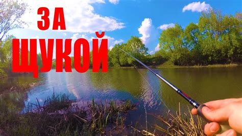 Ловля щуки весной на малой реке | Рыбалка на живописной речке - YouTube