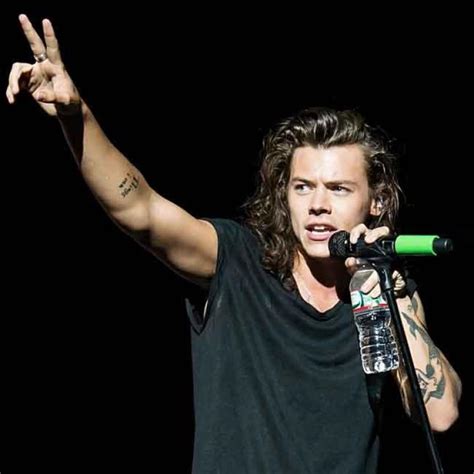 Se Revelan Nuevos Detalles Sobre El Primer Disco En Solitario De Harry